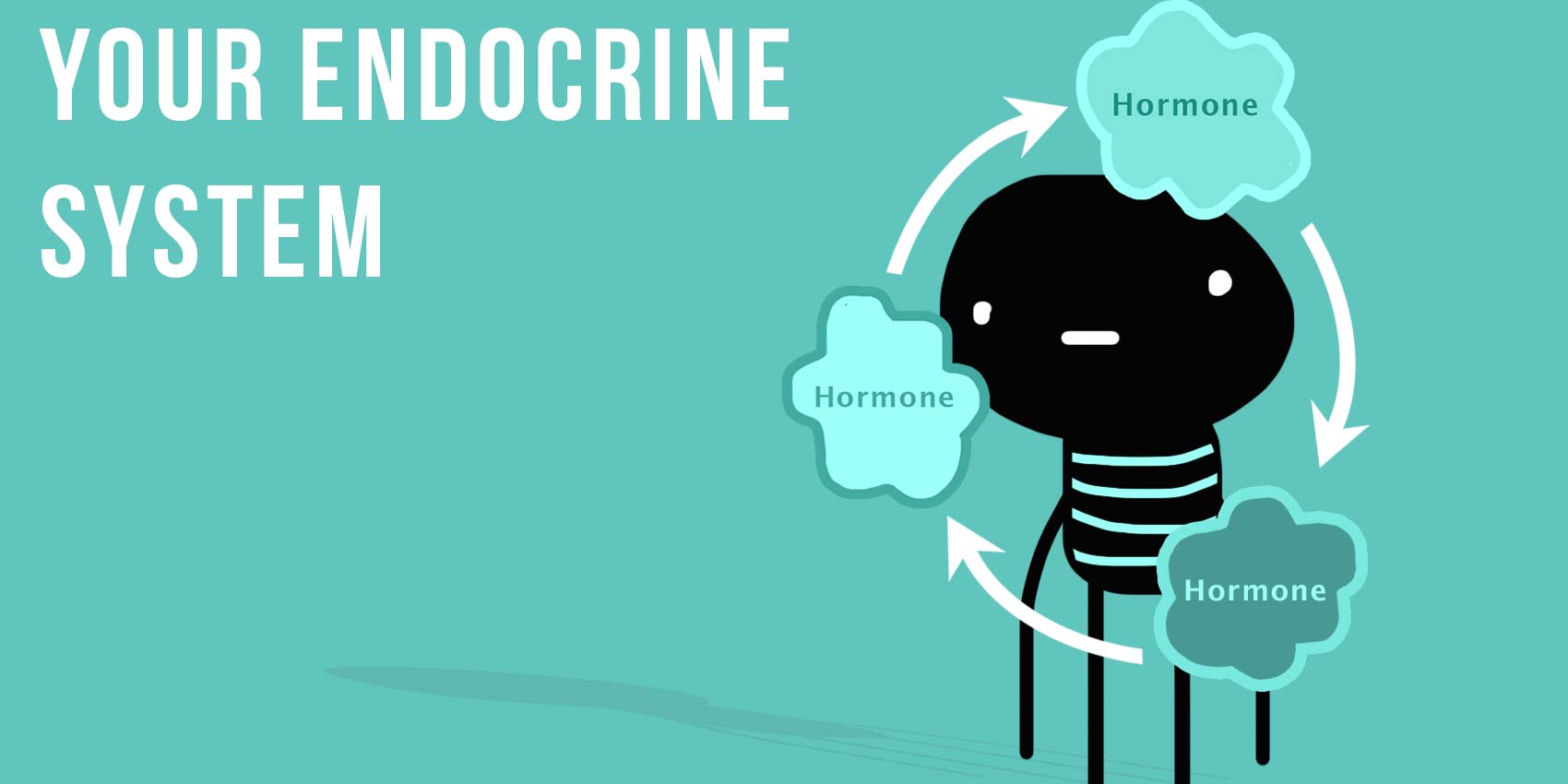 Hormones: the body's chemical messengers