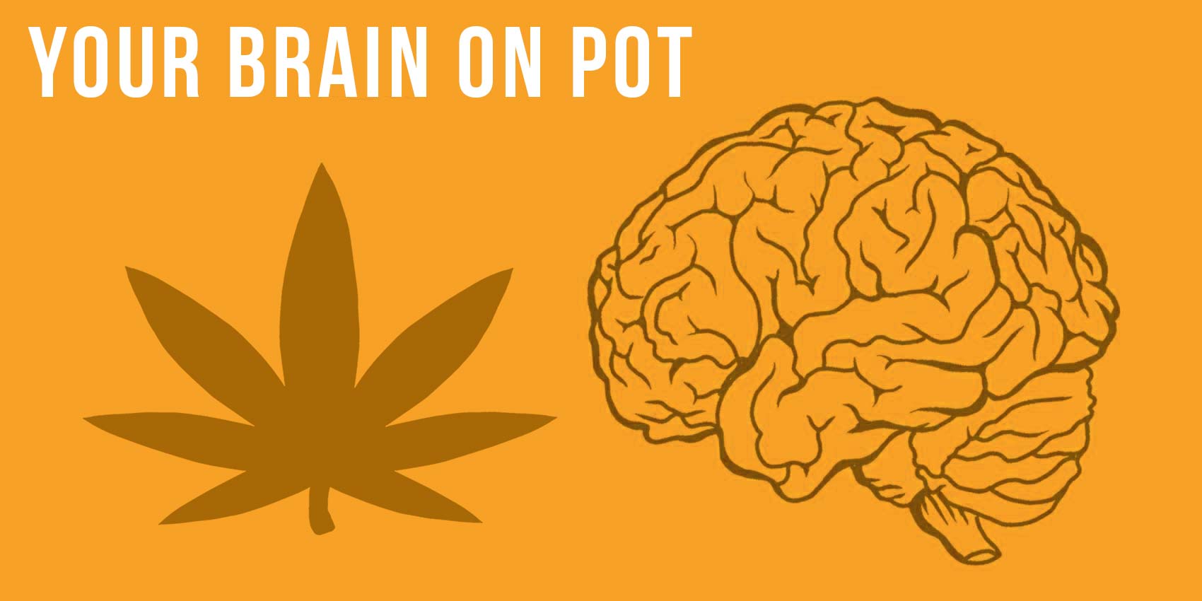 Your Self Series | Your brain on pot