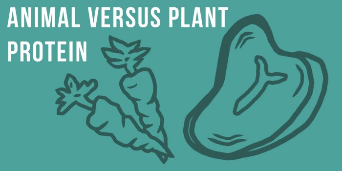 Your Self Series | Animal versus plant-based diets